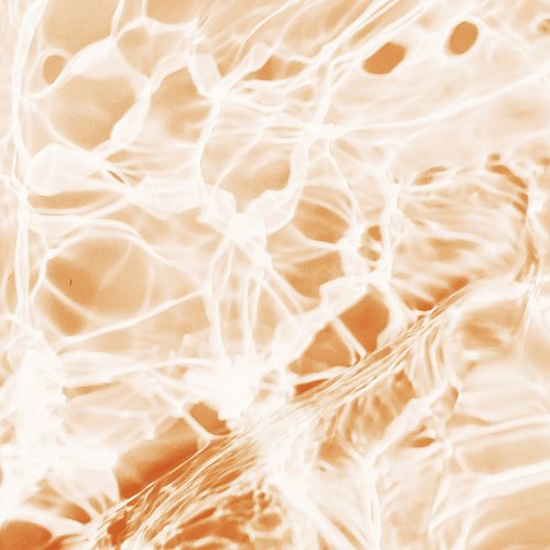 Vitamine B8 (Biotine)
