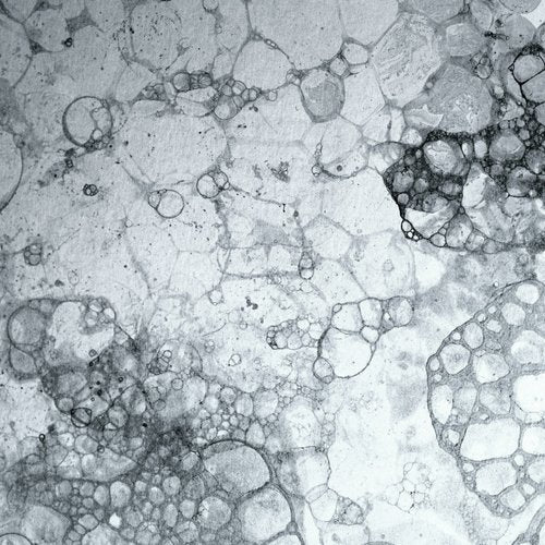 Vitamine A